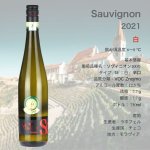 画像1: ラホフェル  ソヴィニオン  2021  /  Lahofer Sauvignon 2021  🇨🇿 (1)