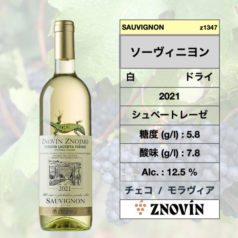 画像1: ソーヴィニヨン ブラン 2021 / Sauvignon 2021 Lacerta   🇨🇿  (ズノヴィン ズノイモ ワナリー) (1)