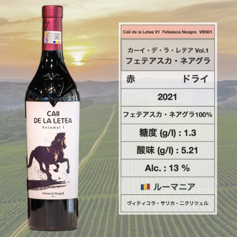 画像1: カーイ・デ・ラ・レテア Vol.1 フェテアスカ・ネアグラ 2021年🇷🇴 / Caii de la Letea Volumul 1 Feteasca Neagra 2021 (1)