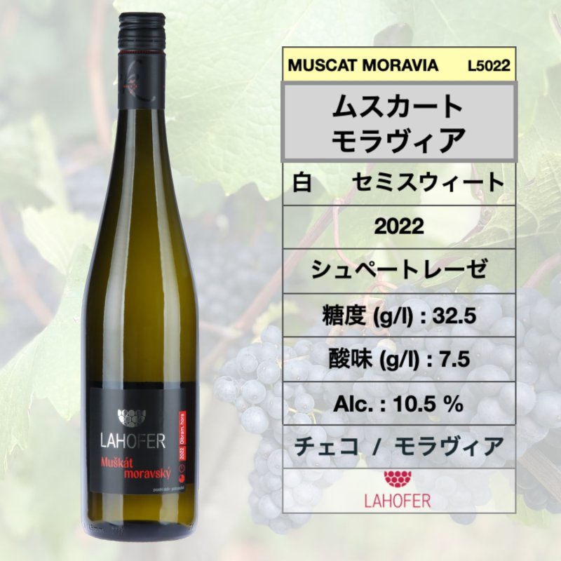画像1: ムスカート モラヴィア  2022  /  Muškát Moravský 2022  🇨🇿 ( ラホフェル ワイナリー) (1)