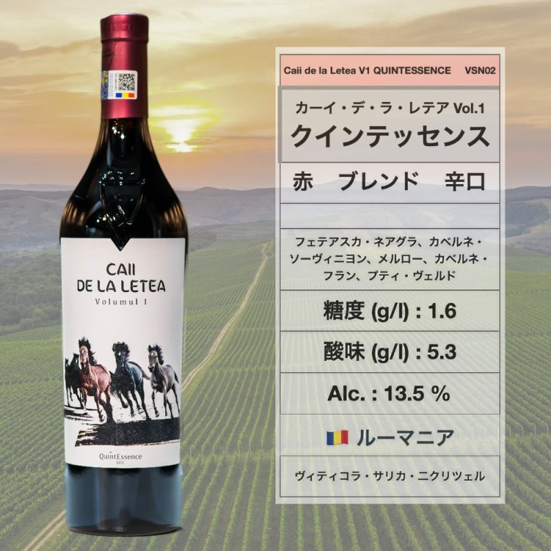 画像1: カーイ・デ・ラ・レテア Vol.1 クインテッセンス 🇷🇴/ Caii de la Letea Volumul 1 Quintessence  (1)