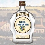 画像1: R.Jelinek-Sloe Brandy (スピノサスモモ ブランデー） (1)