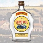画像1: R.Jelinek-Slivovitz (プラム ブランデー） (1)