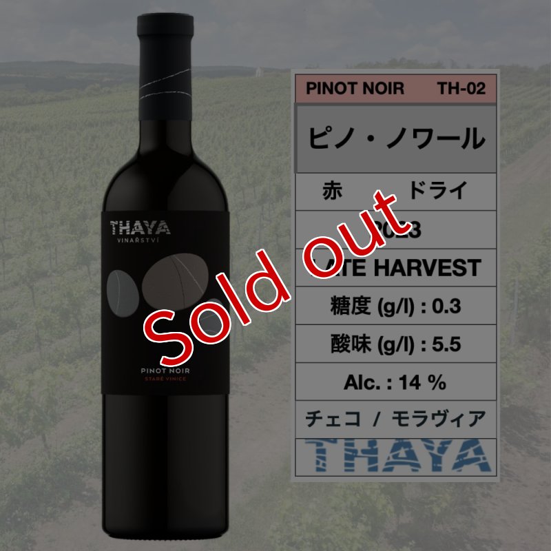 画像1: ピノ・ノワール 2023  /  Pinot Noir 2023 🇨🇿 (1)