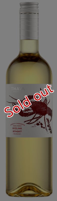 画像2: リースリング 2023  /  Riesling  2023 🇨🇿 (2)