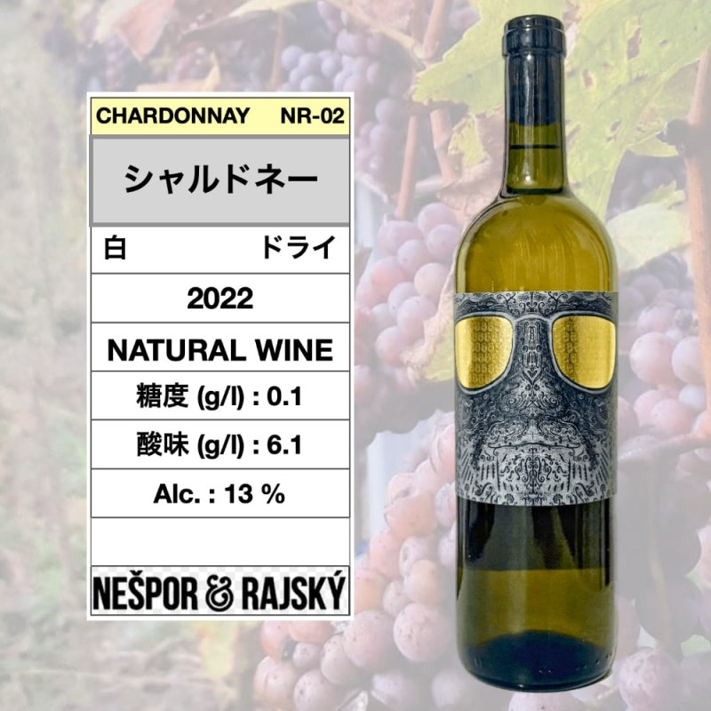 画像1: シャルドネー 2022  /  Chardonnay 2022 🇨🇿 (ナチュラルワイン / Natural wine) (1)