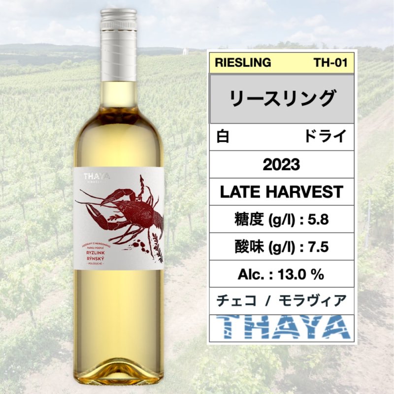 画像1: リースリング 2023  /  Riesling  2023 🇨🇿 (1)