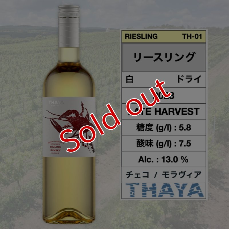 画像1: リースリング 2023  /  Riesling  2023 🇨🇿 (1)