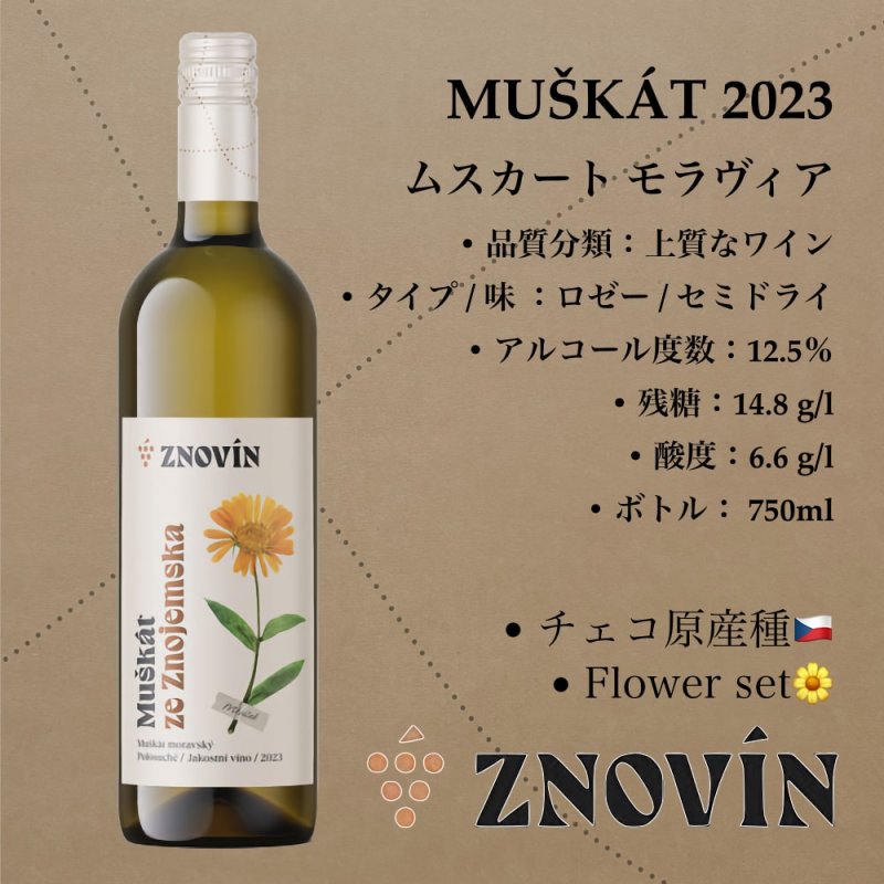 画像1: ムスカート モラヴィア 2023  /  Muscat Moravia 2023 (1)