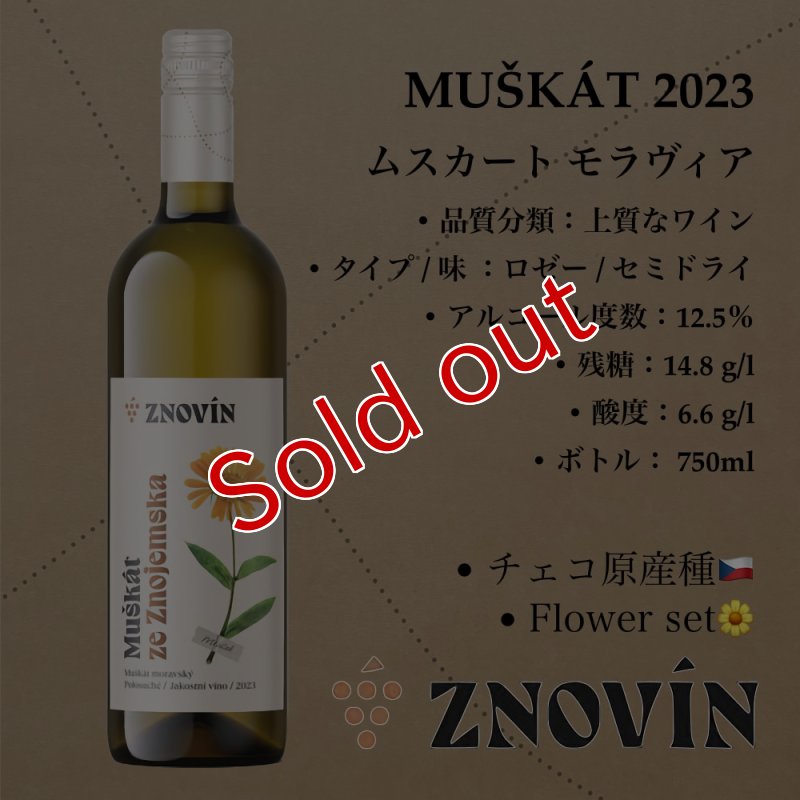 画像1: ムスカート モラヴィア 2023  /  Muscat Moravia 2023 (1)