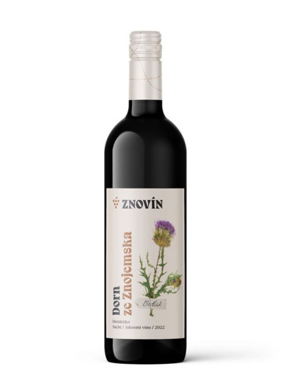 画像2: ドルンフェルダー  2022  / Dornfelder 2022 (2)