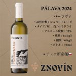 画像1: パーラヴァ 2024  / PALAVA 2024  (1)