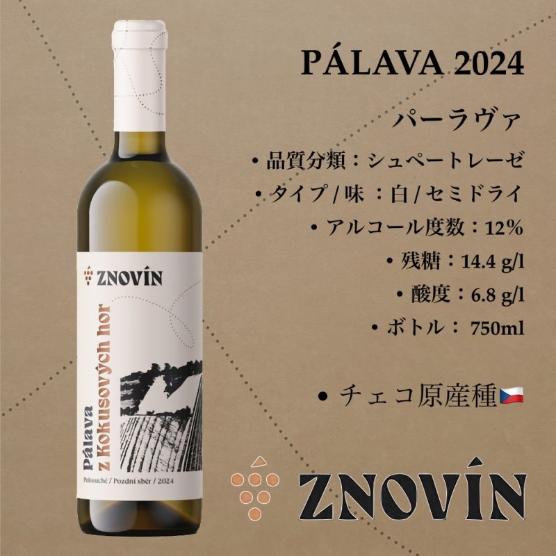 画像1: パーラヴァ 2024  / PALAVA 2024  (1)