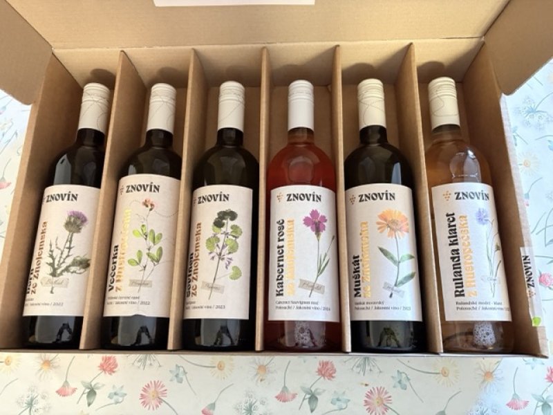 画像3: カベルネ ソーヴィニヨン ロゼー 2024  /  Cabernet Sauvignon rose 2024 (3)