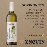 画像1: ソーヴィニヨン 2024  /  Sauvignon 2024 (1)