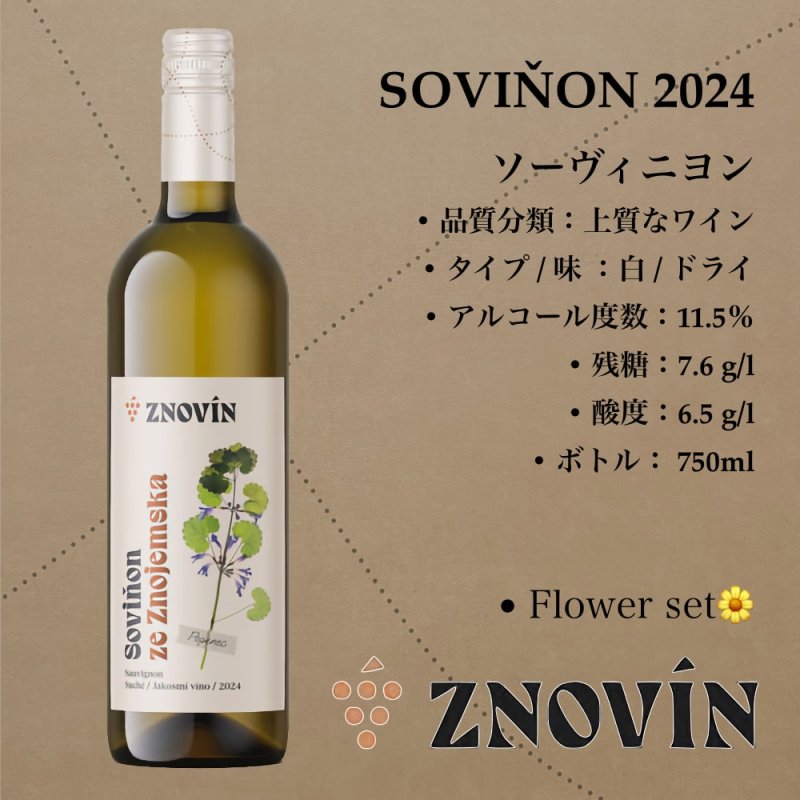 画像1: ソーヴィニヨン 2024  /  Sauvignon 2024 (1)