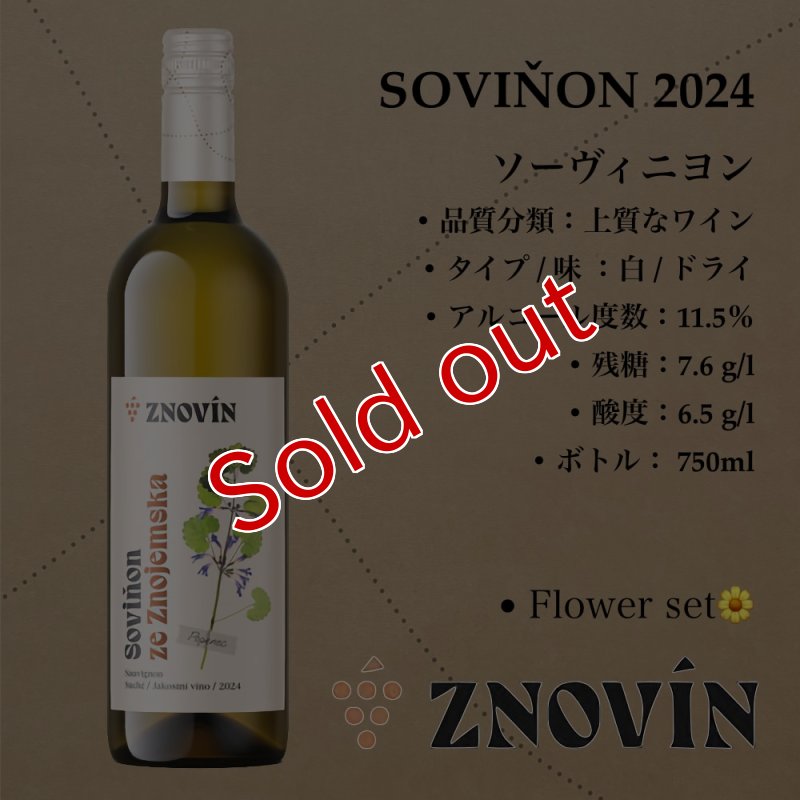 画像1: ソーヴィニヨン 2024  /  Sauvignon 2024 (1)