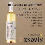 画像1: ピノ・ノワール  クラレット 2023  /  Rulandske Modre 2023 (1)