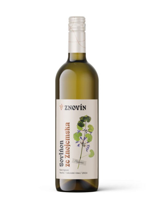 画像2: ソーヴィニヨン 2024  /  Sauvignon 2024 (2)