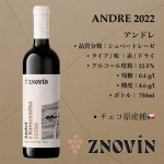 画像1: アンドレ 2022 /  ANDRE 2022    (1)