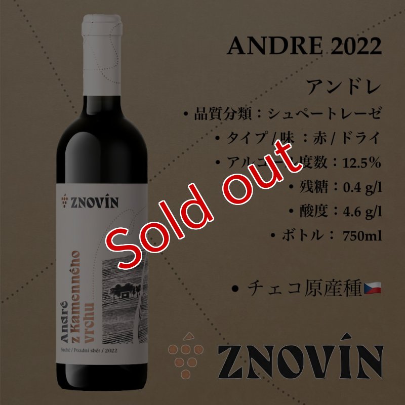 画像1: アンドレ 2022 /  ANDRE 2022    (1)