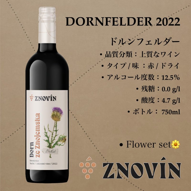 画像1: ドルンフェルダー  2022  / Dornfelder 2022 (1)