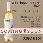 画像1:  グリューナー  ヴェルトリーナー 2024  /   VELTLÍNSKÉ ZELENÉ   2024 (1)