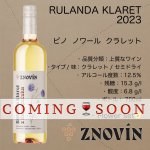 画像1: ピノ・ノワール  クラレット 2023  /  Rulandske Modre -claret 2023 (1)