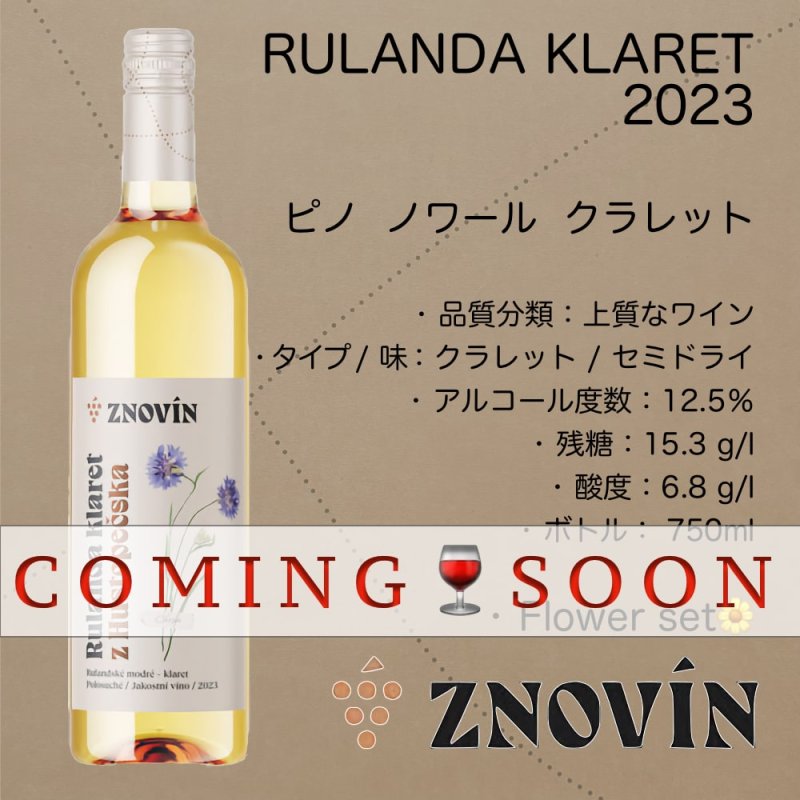 画像1: ピノ・ノワール  クラレット 2023  /  Rulandske Modre -claret 2023 (1)