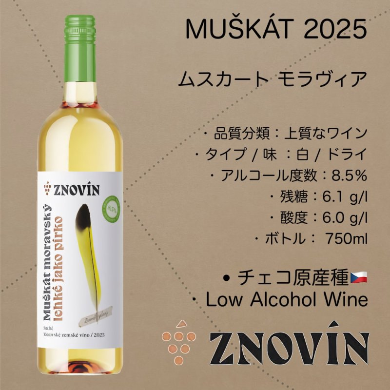 画像2: ムスカート モラヴィア 2025  /  Muscat Moravia 2025  - LOW ALC. (2)