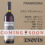 画像1: ブラウフランキッシュ 2024 - Gastro  /  FRANKOVKA  2024 -Gastro (1)