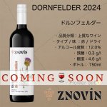 画像1: ドルンフェルダー  2024  / Dornfelder 2024 (1)