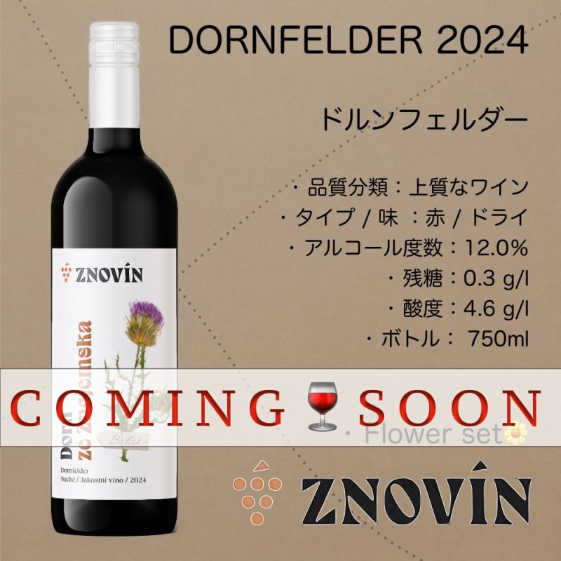 画像1: ドルンフェルダー  2024  / Dornfelder 2024 (1)