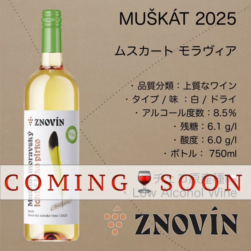 画像1: ムスカート モラヴィア 2025  /  Muscat Moravia 2025  - LOW ALC. (1)
