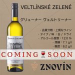 画像1:  グリューナー  ヴェルトリーナー 2024  /   VELTLÍNSKÉ ZELENÉ   2024 -GASTRO (1)