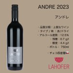 画像2: アンドレ 2023  /  ANDRE  2023 (2)