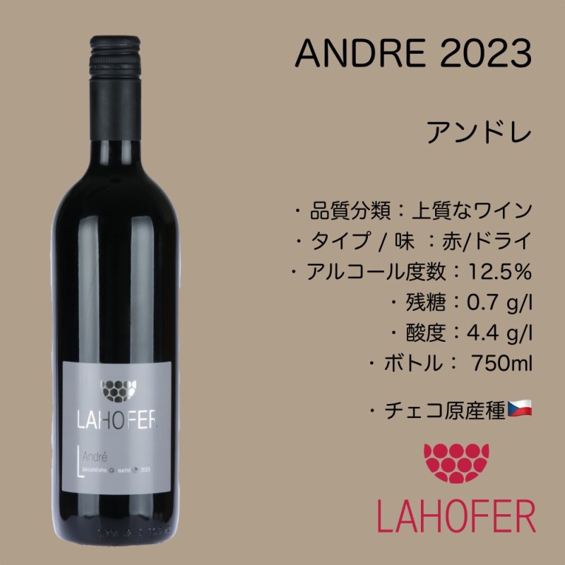 画像2: アンドレ 2023  /  ANDRE  2023 (2)