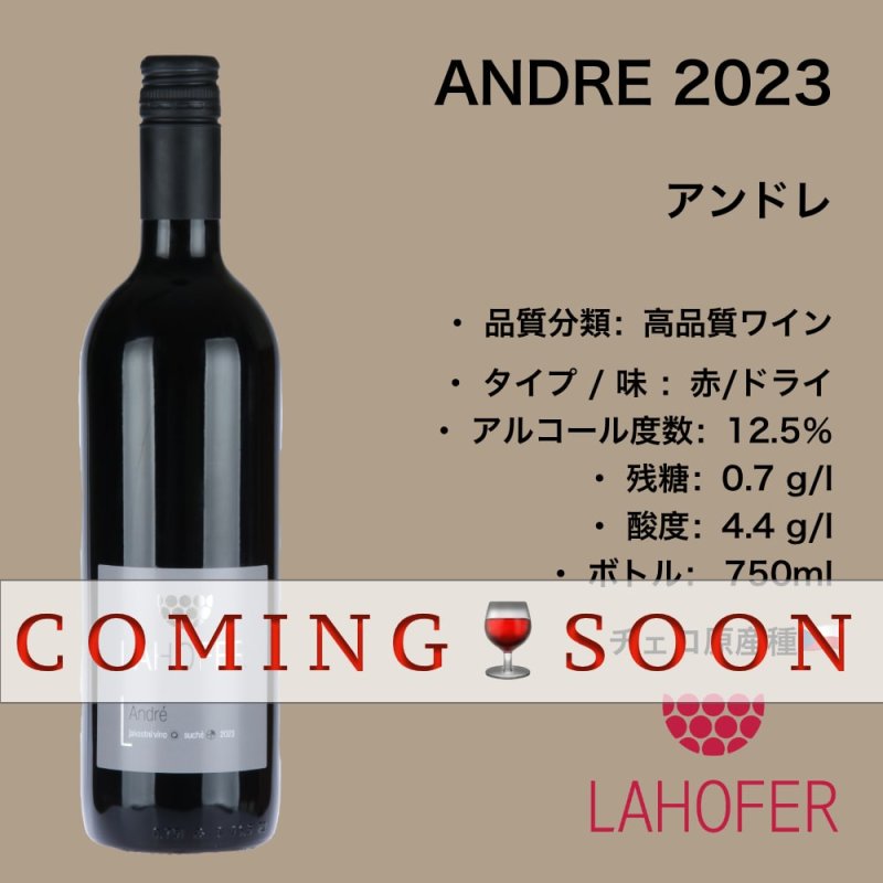 画像1: アンドレ 2023  /  ANDRE  2023 (1)