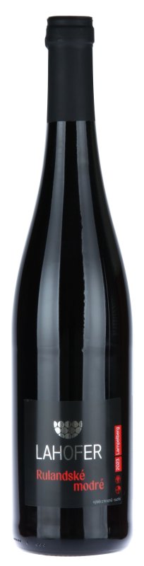 画像3: ピノ  ノワール 2023  /  RULANDSÉ MODRÉ  2023 (3)