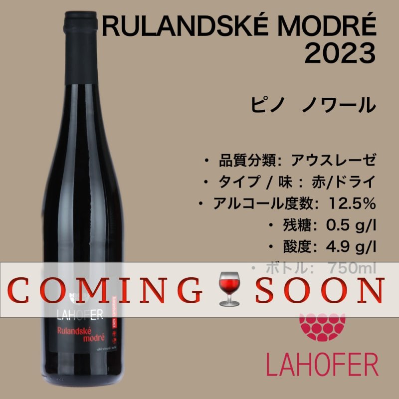 画像1: ピノ  ノワール 2023  /  RULANDSÉ MODRÉ  2023 (1)