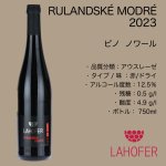 画像2: ピノ  ノワール 2023  /  RULANDSÉ MODRÉ  2023 (2)