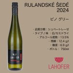 画像2: ピノ グリー 2024  /  RULANDSKÉ ŠEDÉ 2024 (2)