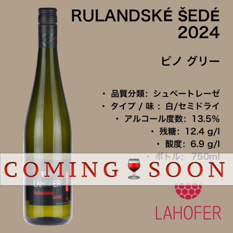 画像1: ピノ グリー 2024  /  RULANDSKÉ ŠEDÉ 2024 (1)