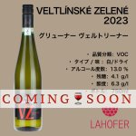画像1: ソーヴィニヨン  2023  VOC /  SAUVIGNON  2023 VOC (1)