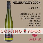画像1: ノイブルガー 2024  /  RNEUBURSKÉ 2024 (1)
