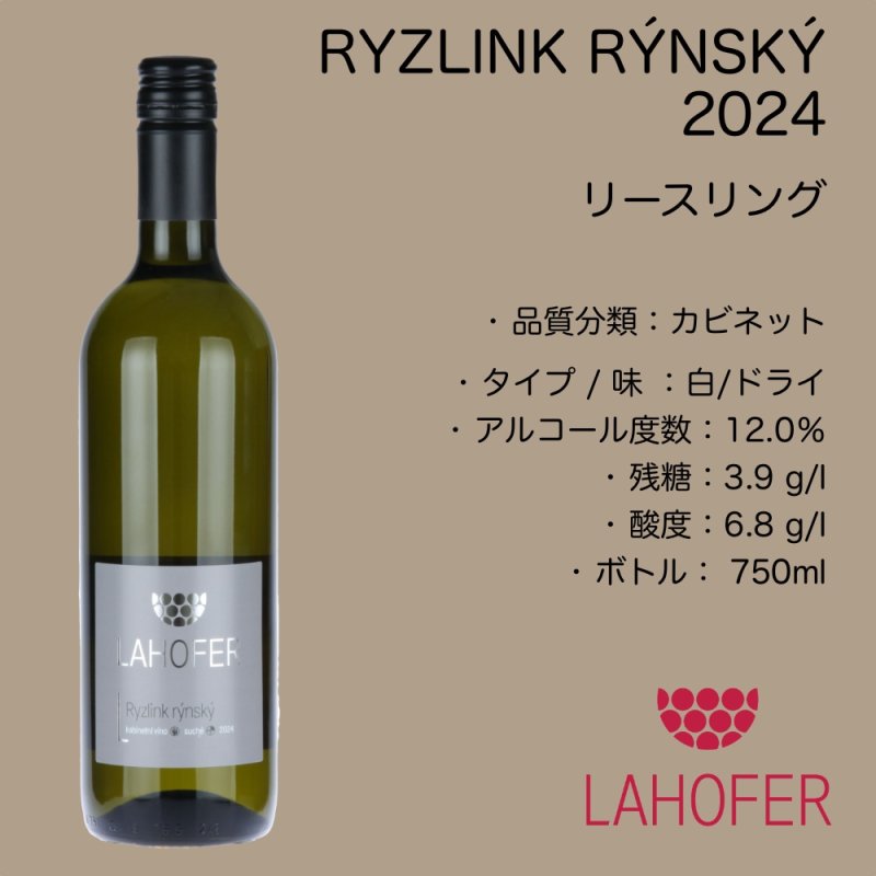 画像2: リースリング 2024  /  RYZLINK RÝNSKÝ  2024 (2)