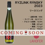 画像1: リースリング 2023  VOC /  RYZLINK RÝNSKÝ  2023 VOC (1)