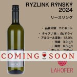 画像1: リースリング 2024  /  RYZLINK RÝNSKÝ  2024 (1)