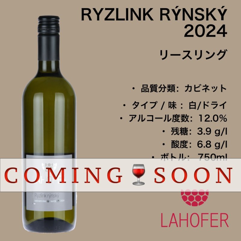 画像1: リースリング 2024  /  RYZLINK RÝNSKÝ  2024 (1)