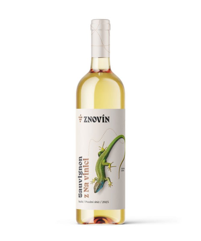 画像2: ソーヴィニヨン 2025  /  SAUVIGNON  2025   🇨🇿 (2)